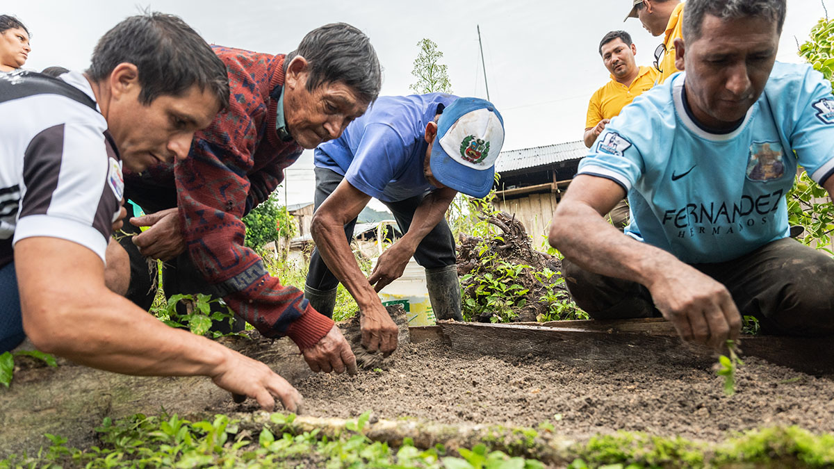 Bar&oacute;metro del Caf&eacute; 2023. Los peque&ntilde;os productores carecen de recursos para hacer frente a la legislacion de la UE por si solos