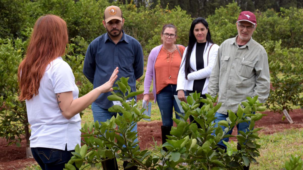 Día de Campo, Fruto Resiliente Día de Campo, Fruto Resiliente