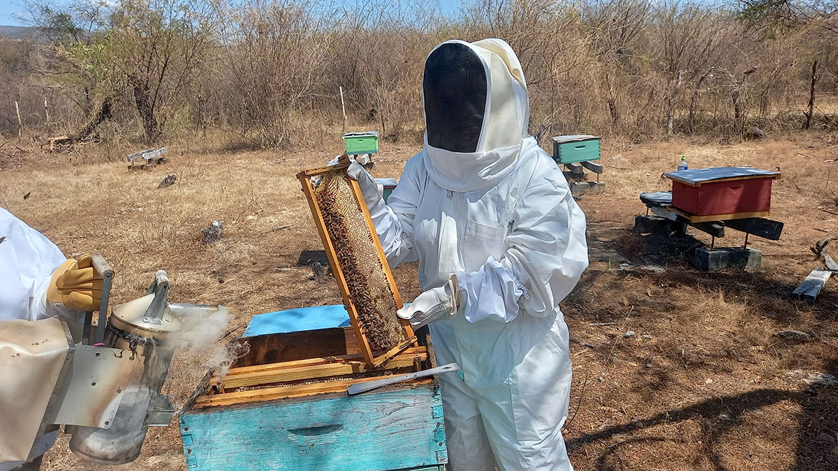 Solidaridad-GEDI-Guatemala-OEA-PEC-PYMES-Productores