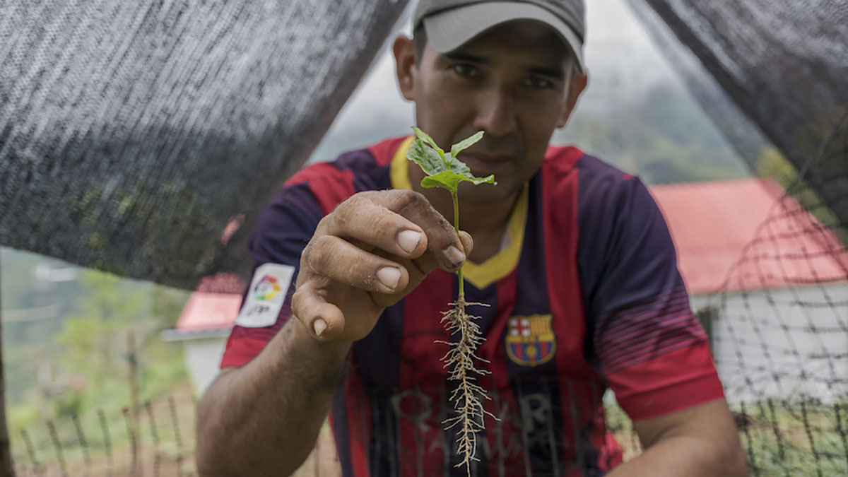 Solidaridad-latinamérica-2023-créditos-carbono-mercados
