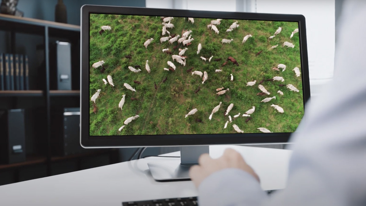 Herramientas trazabilidad NWF, AmazoniaConnect