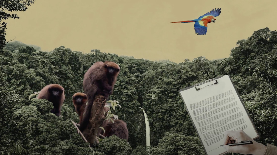 Monitoreo biodiversidad, Amazon&iacute;a Connect