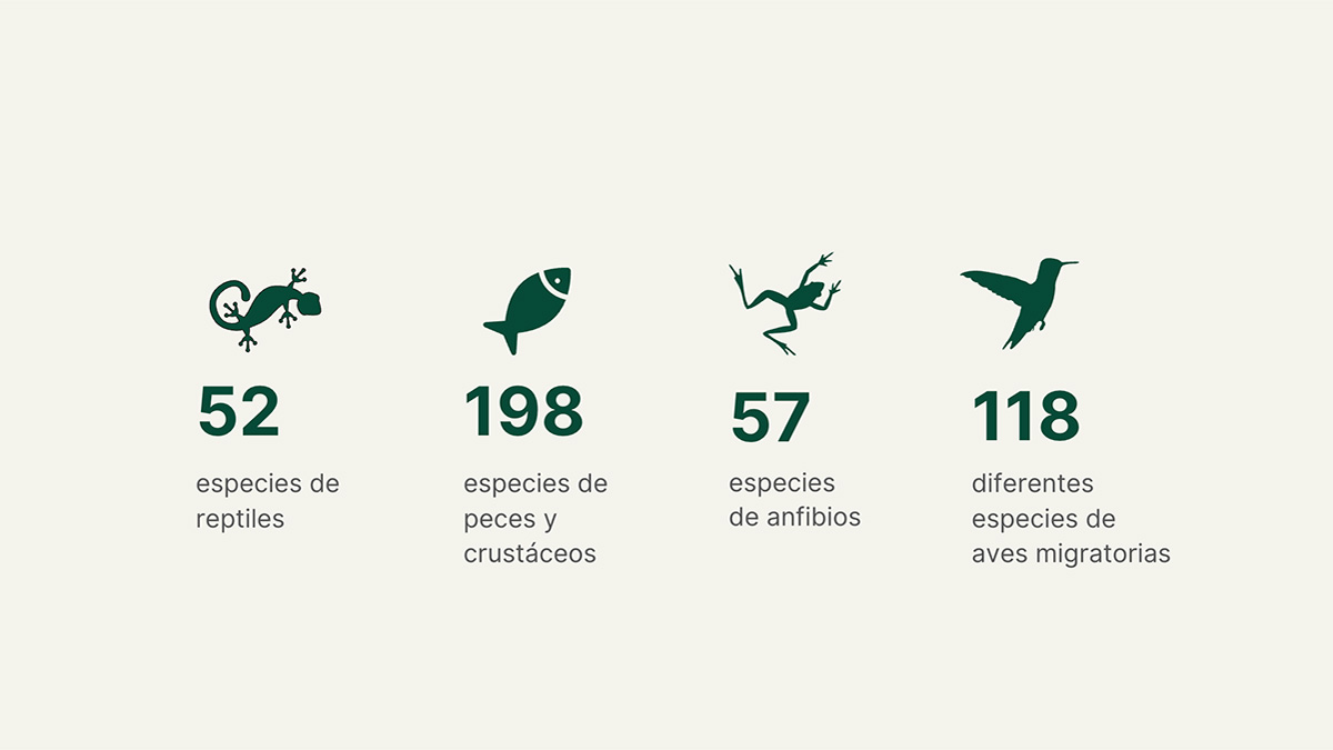 Solidaridad-Reinforest-Alliance-Landscale-Caso-Estudio