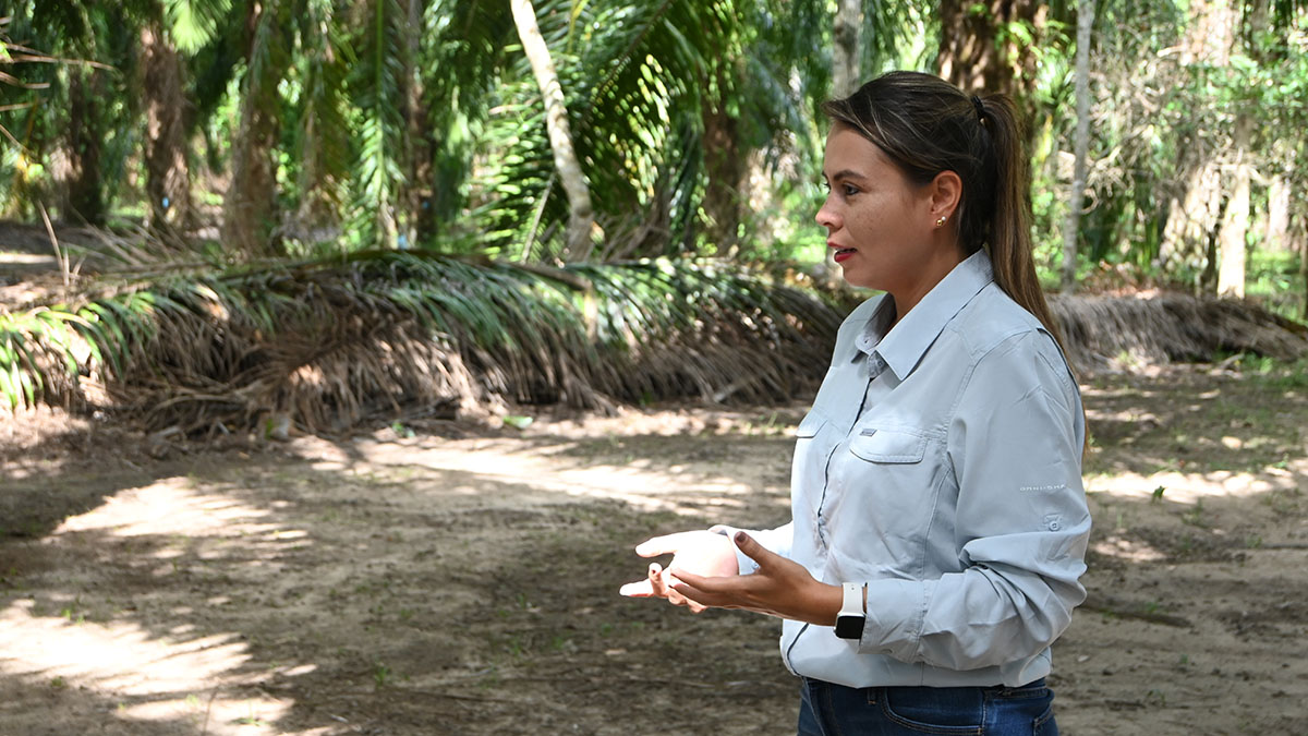 Solidaridad-maria-Goretti-RSPO-Palma-Aceite-Sostenible-Curso-Academia-Productores Solidaridad-maria-Goretti-RSPO-Palma-Aceite-Sostenible-Curso-Academia-Productores