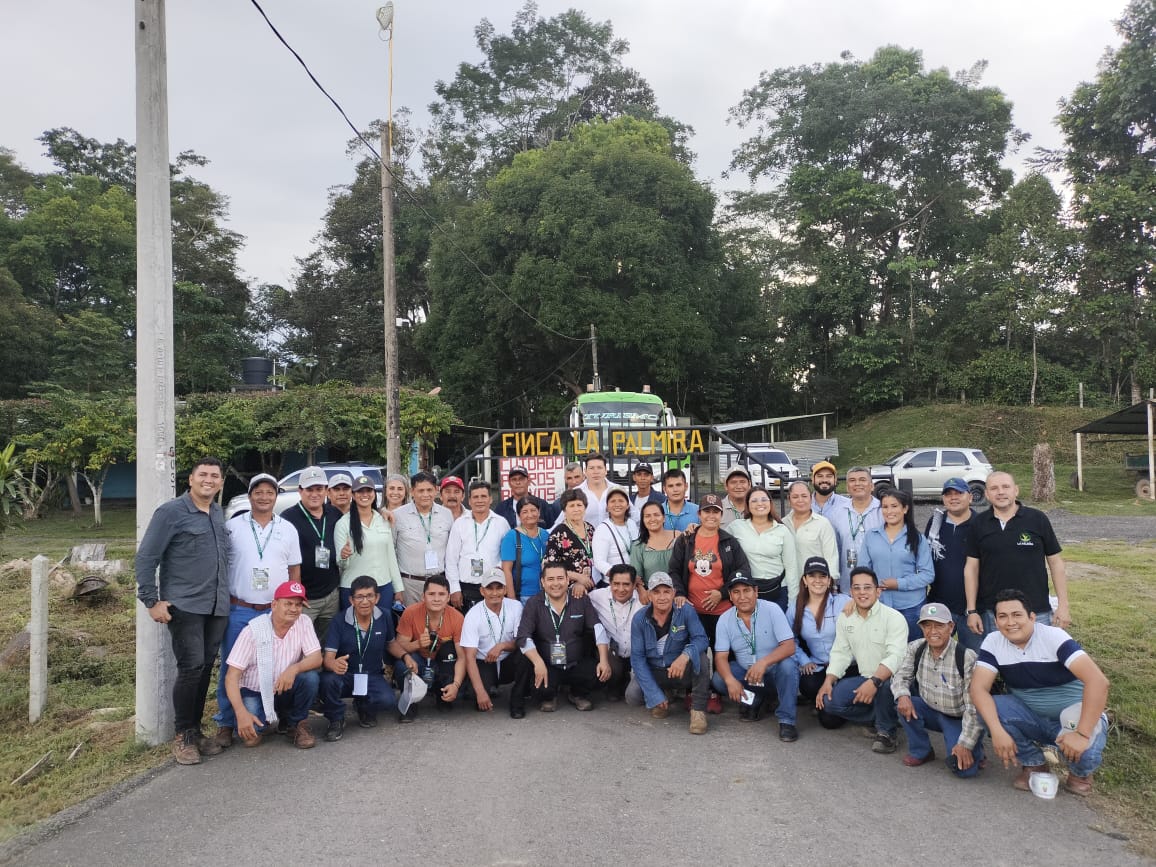 Visita Palmas del Cesar Visita palmas del césar