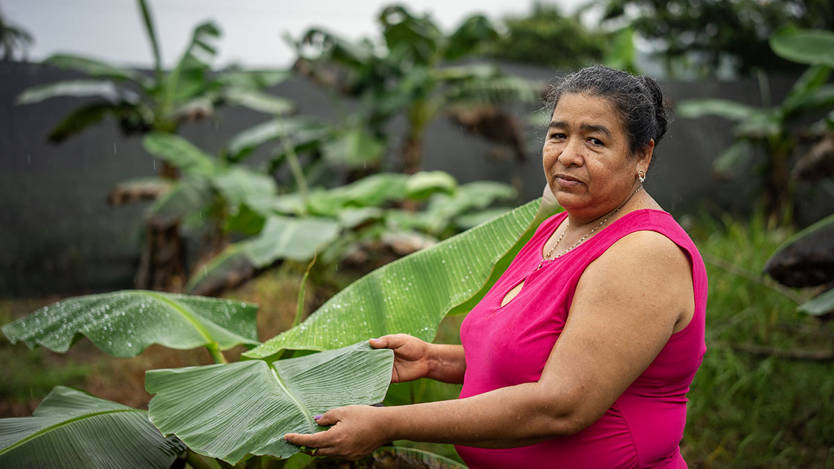 Solidaridad-Huracán-Julia-Centroamérica-Ayuda