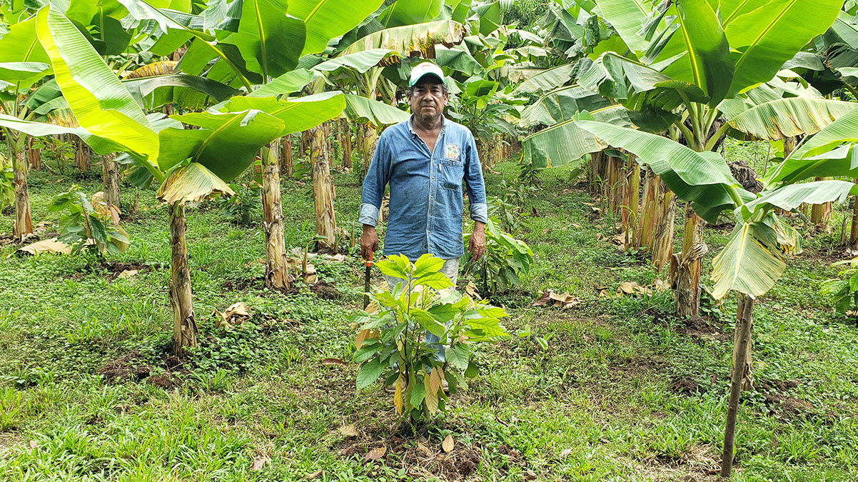 Solidaridad-Historia-Rafael-Agustín-Palma-Aceite-México-Sostenible