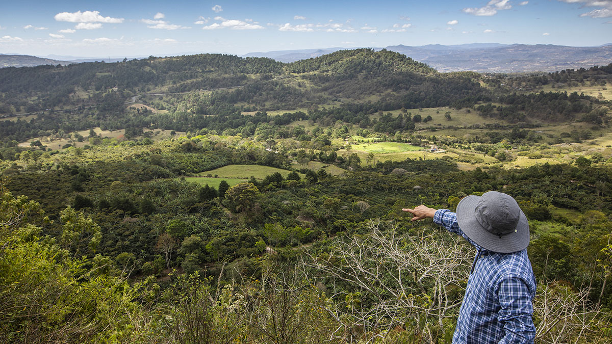 Solidaridad-Nicaragua-Dreamfund-Carbono-Café-Productores-Sostenible-Acorn