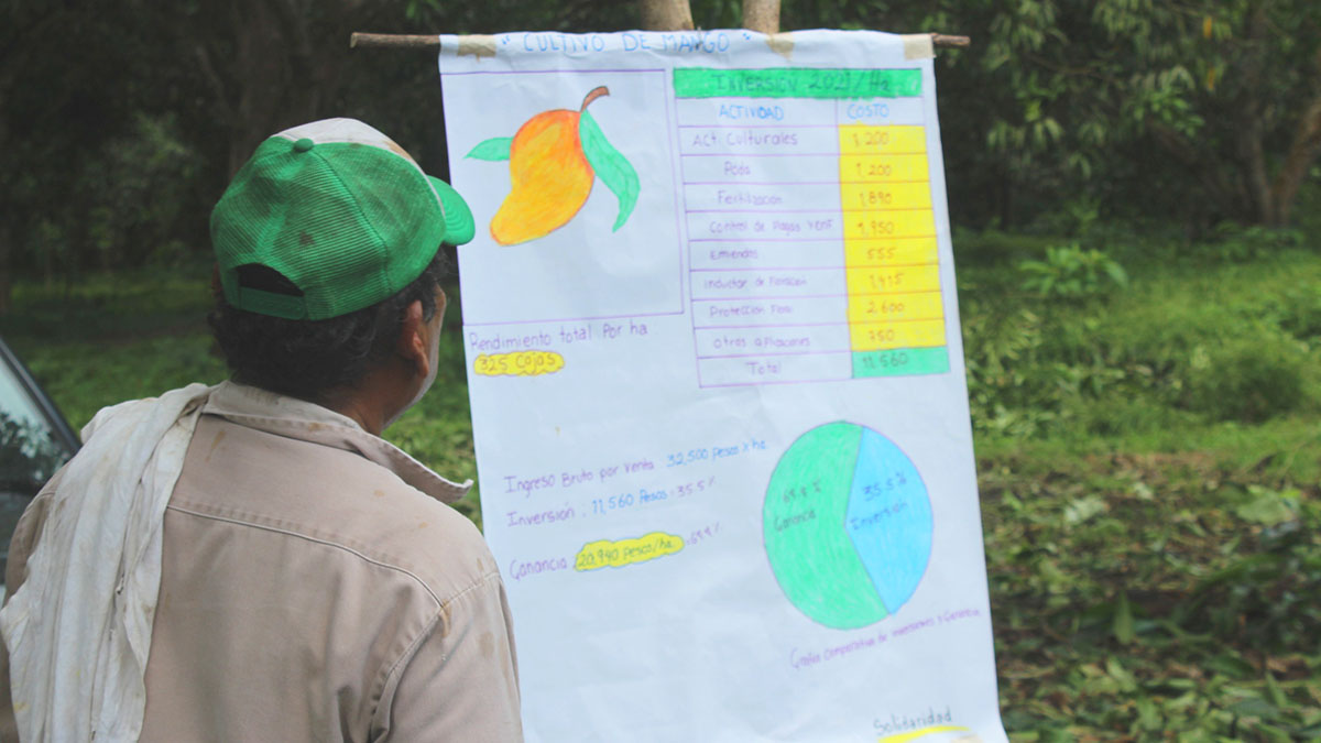 Solidaridad-Palma-México-Rafael-Agustín-Mango-Productor