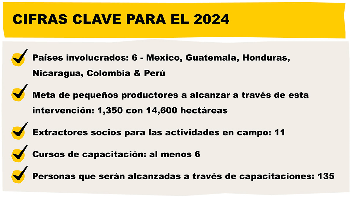 Cifras-clave-2024-acuerdo-Solidaridad-RSPO