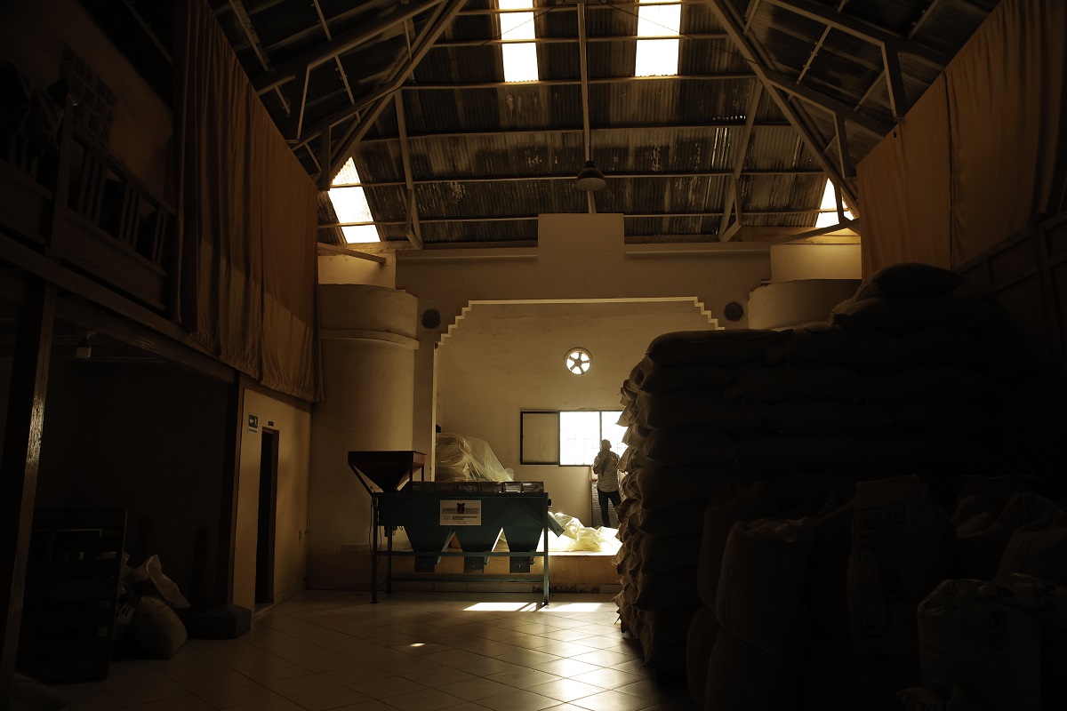 Cacao+Sostenible Maceo