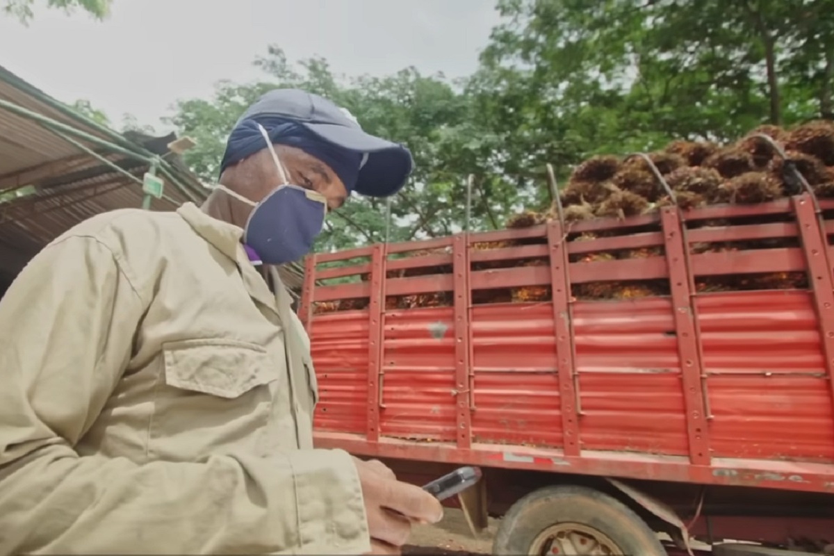 Plan Padrino Palma Plan Padrino Palma