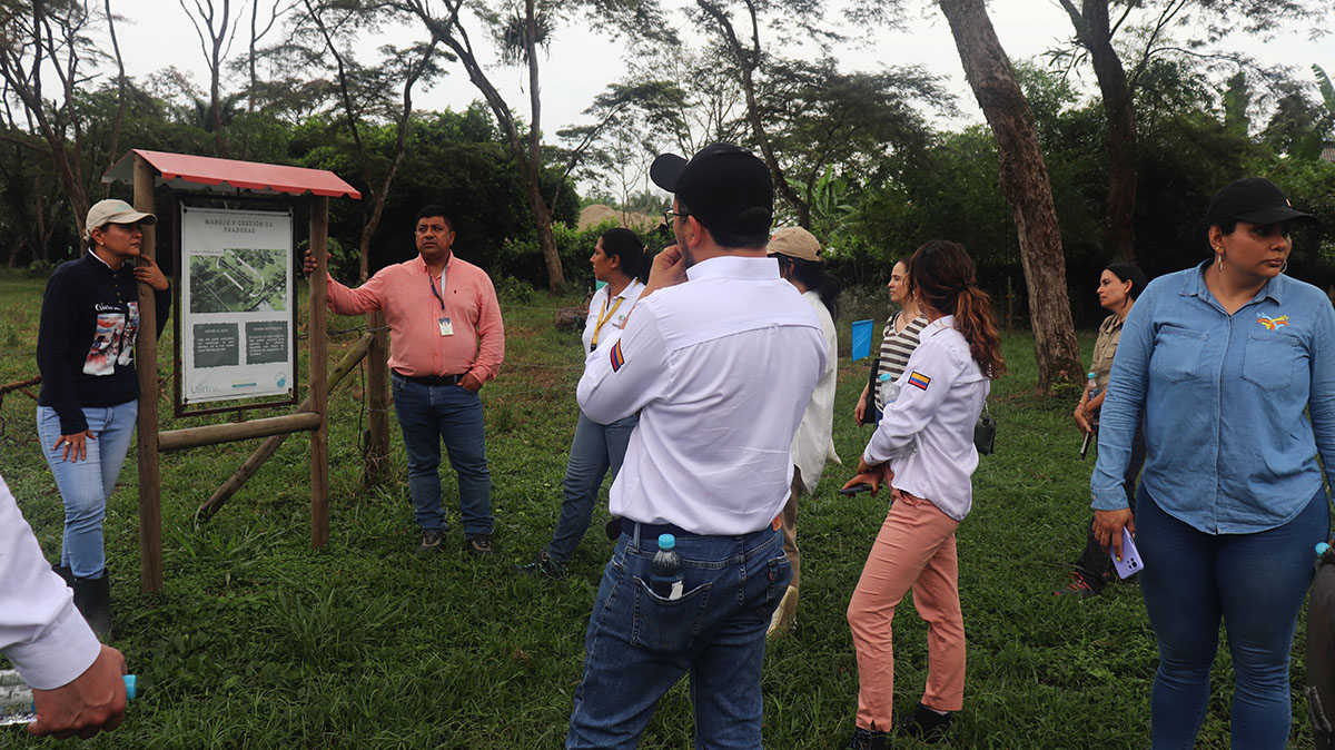 Monitoreo para programa multi país y multi commodity, intercambio constante Monitoreo para programa multi país y multi commodity, intercambio constante