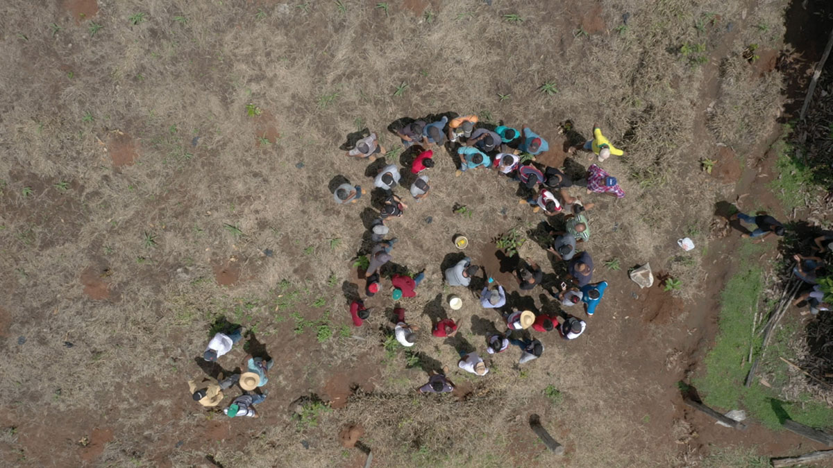 Monitoreo para programas multi país y multi commodity