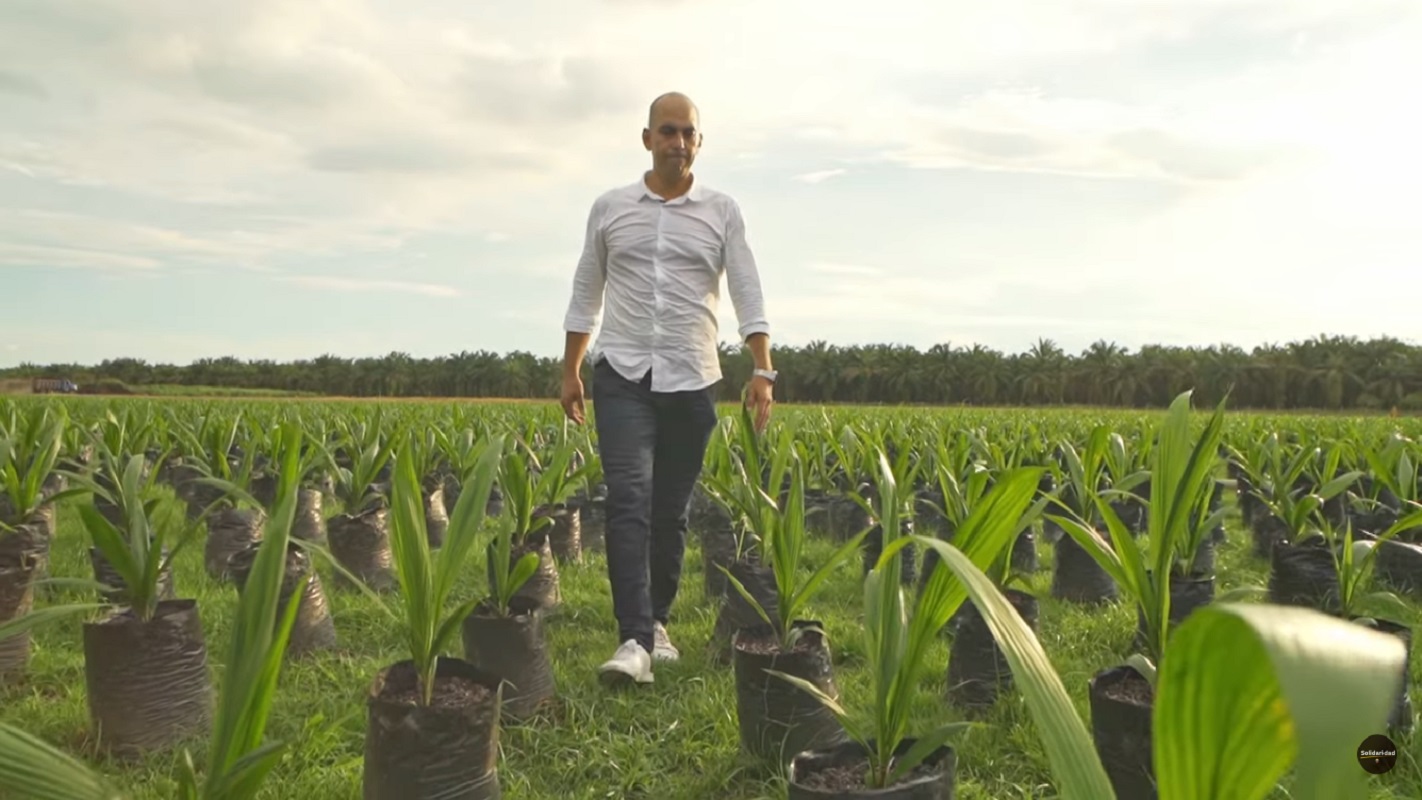 Palma Cesar 5 Palmicultores Cesar certificación RSPO