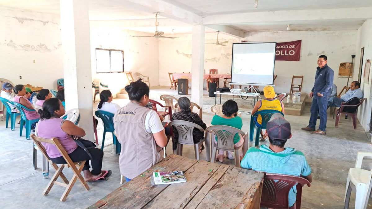 Solidaridad-Capacitaciones-café-Sostenible-kajve-brunas-prácticas