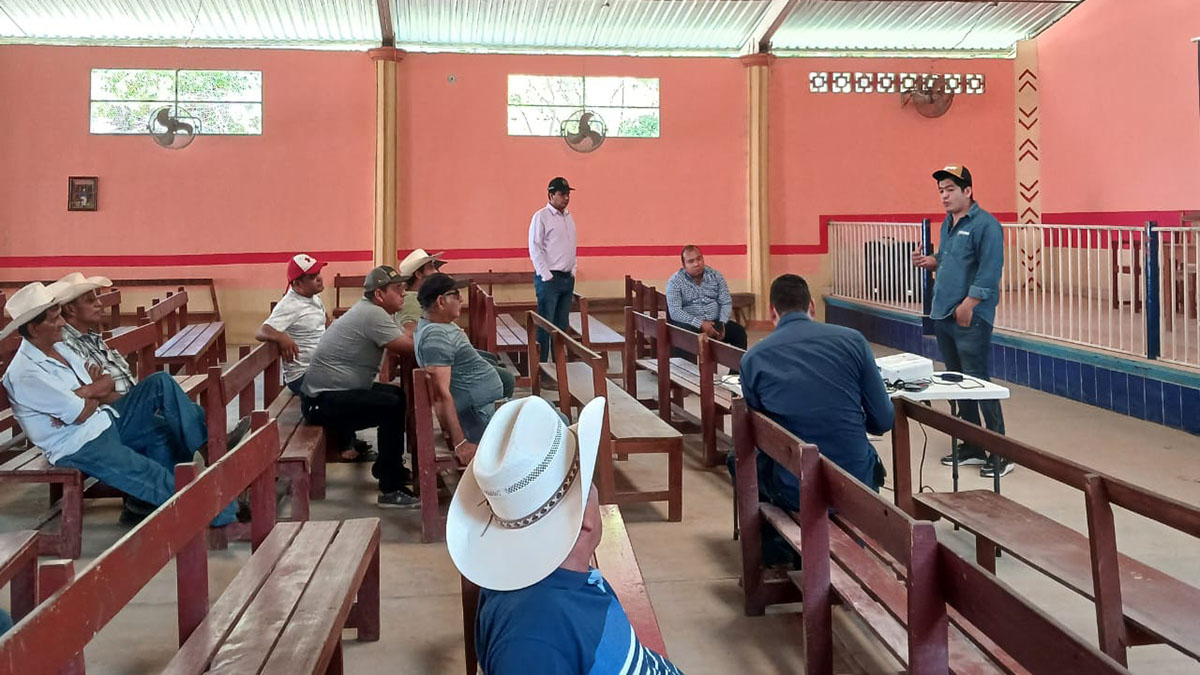 Solidaridad-Kajve-México-Café-Sostenible-2024