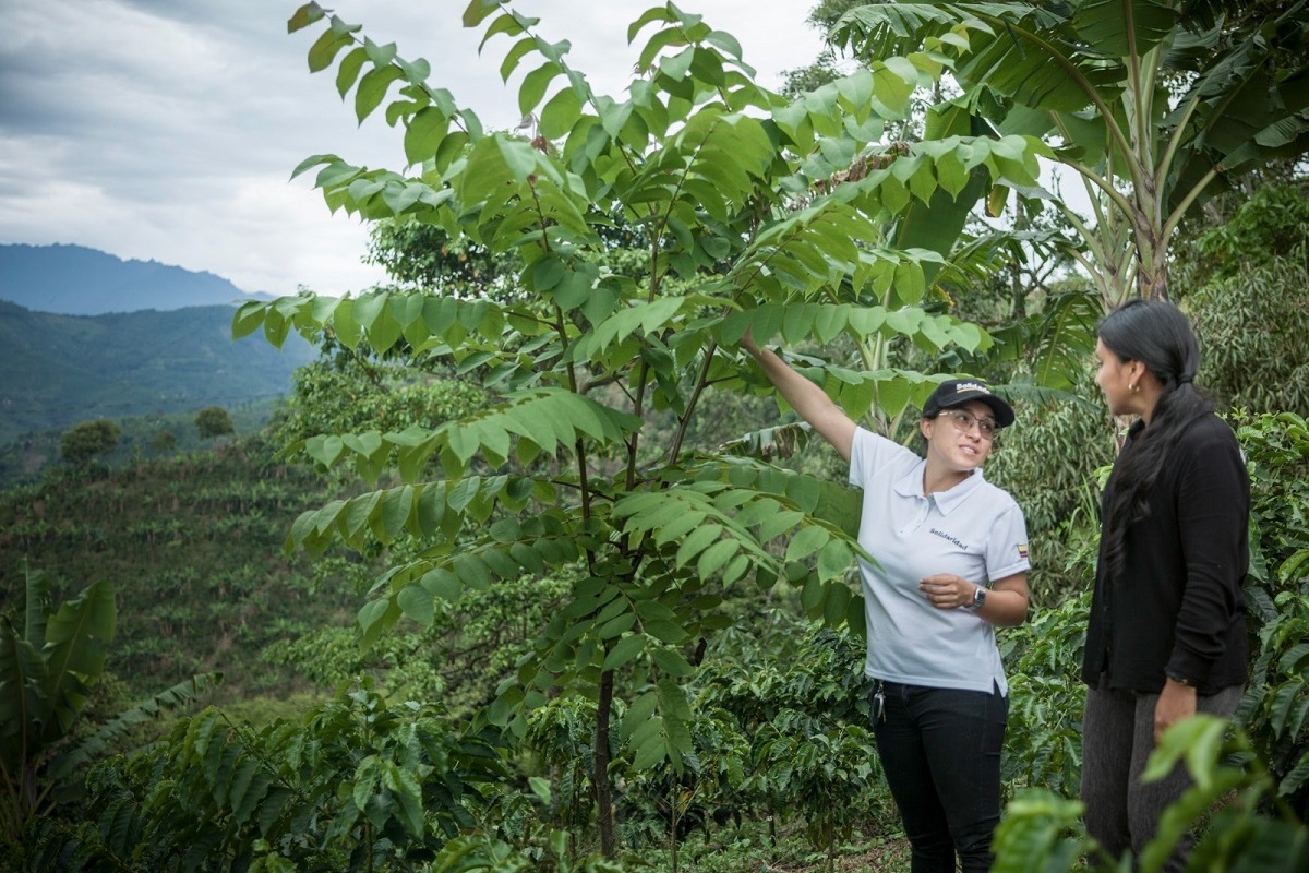 Deibi López 1 Deibi López 1