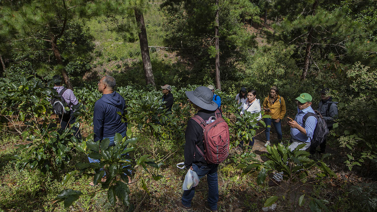 Pathways to Prosperity