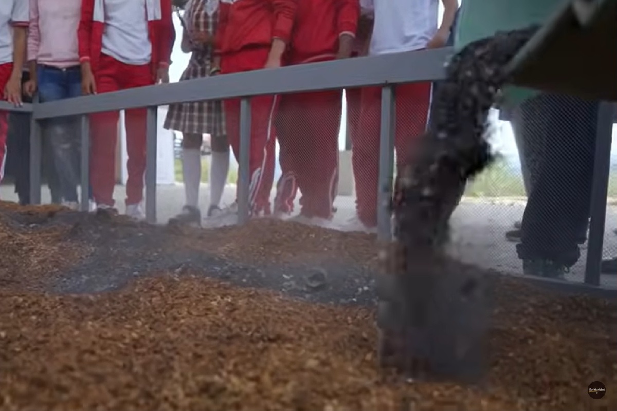 Incasbono 2 Incasbono 2