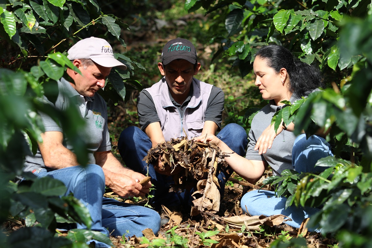 Incasbono (3) Incasbono 3