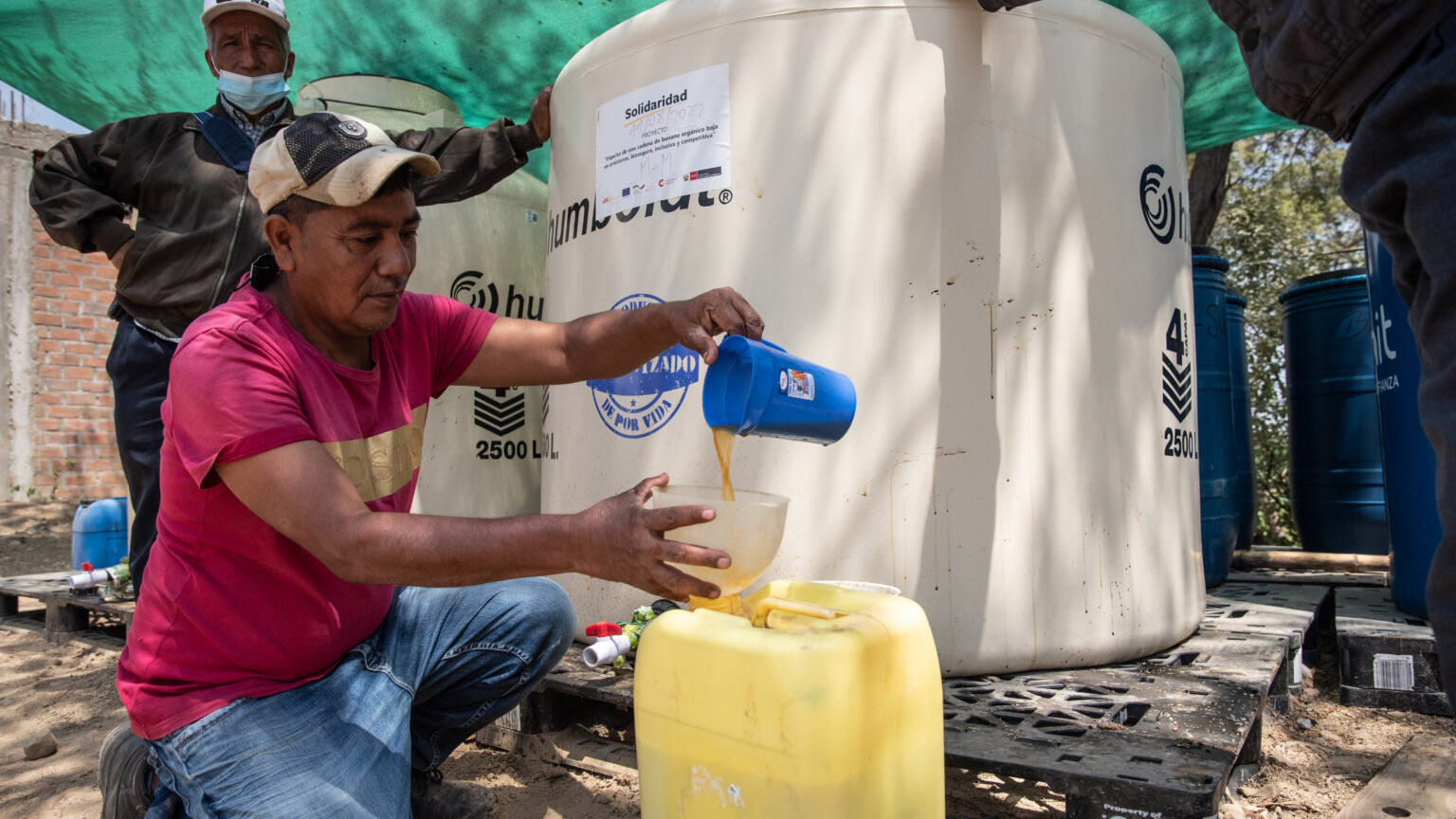 LATAM-Sustainable-agriculture-Low-carbon-fertilizers-for-banana-in-Peru-1536x1025