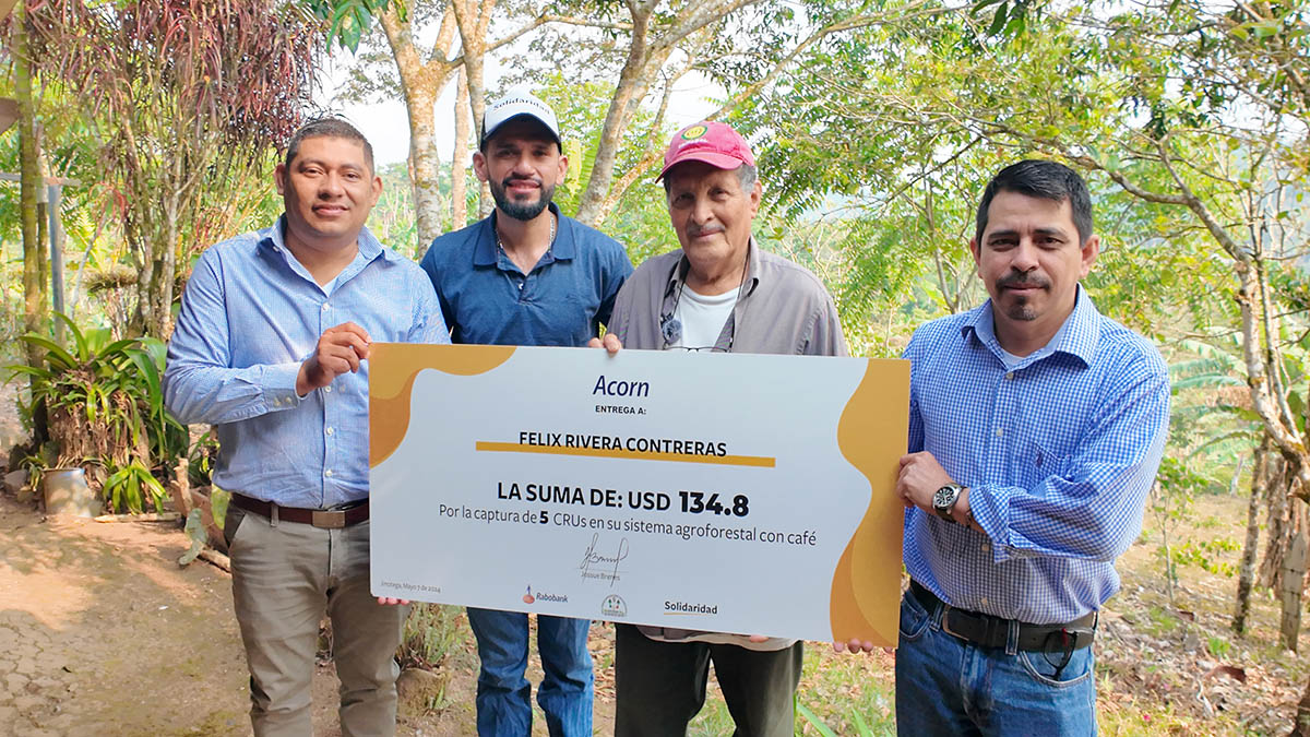 Solidaridad-Pagos-Carbono-Nicaragua-cafe-cacao-Productores-agroforestaes.