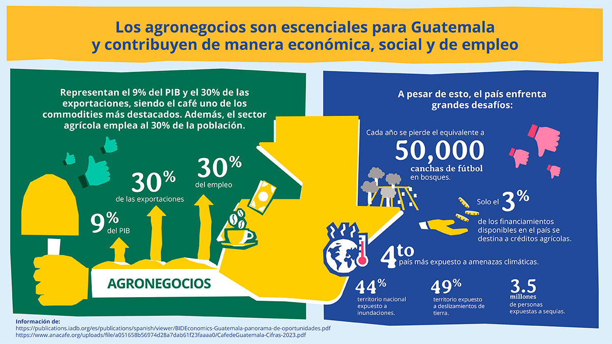 El desarrollo y crecimiento de las PEC son fundamentales para el progreso de Guatemala y para enfrentar desaf&iacute;os estructurales. Sin embargo, estas empresas enfrentan brechas y oportunidades que necesitan ser abordadas a trav&eacute;s de la colaboraci&oacute;n de diversos actores. Las OAE, seg&uacute;n la definici&oacute;n de ANDE, son aliados clave que brindan acompa&ntilde;amiento y apoyo a estas empresas en sus diversas etapas de crecimiento.