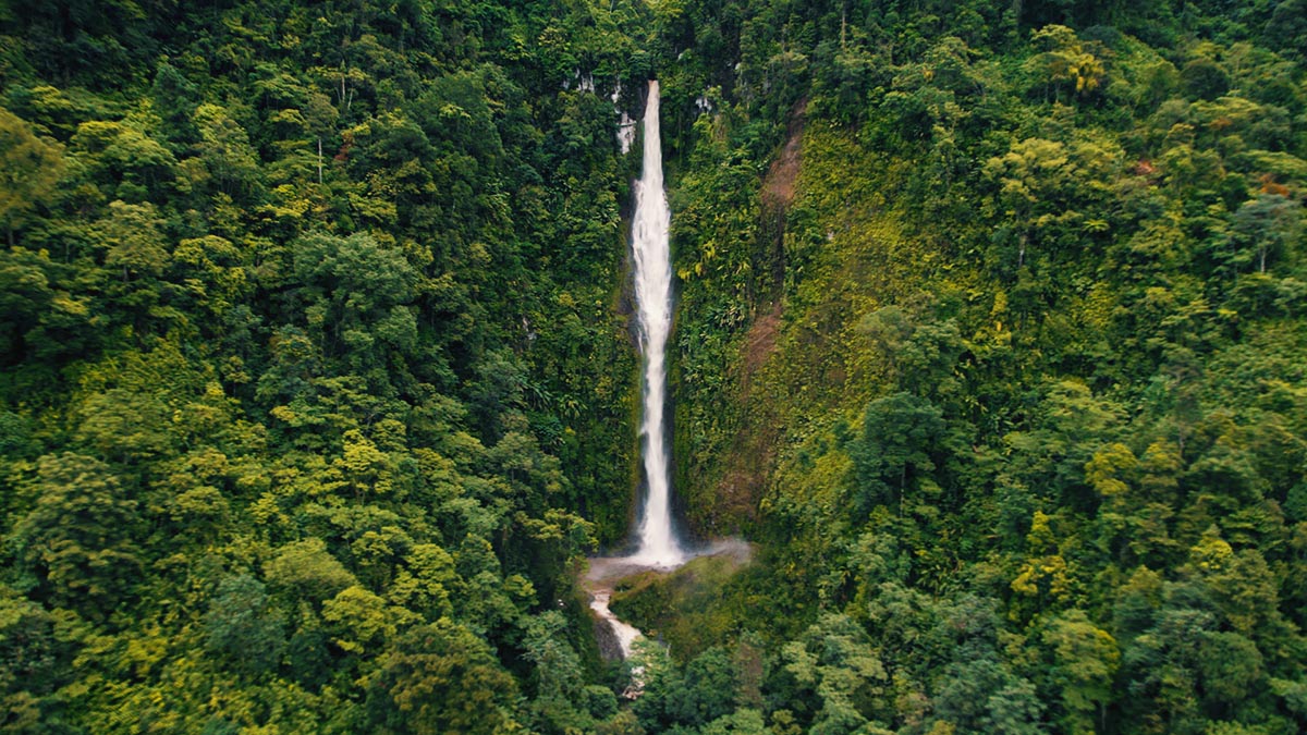 Solidaridad-Guatemala-Paisaje-Reserva-Vergel-Sostenible-Quch-Financieminto-Climático