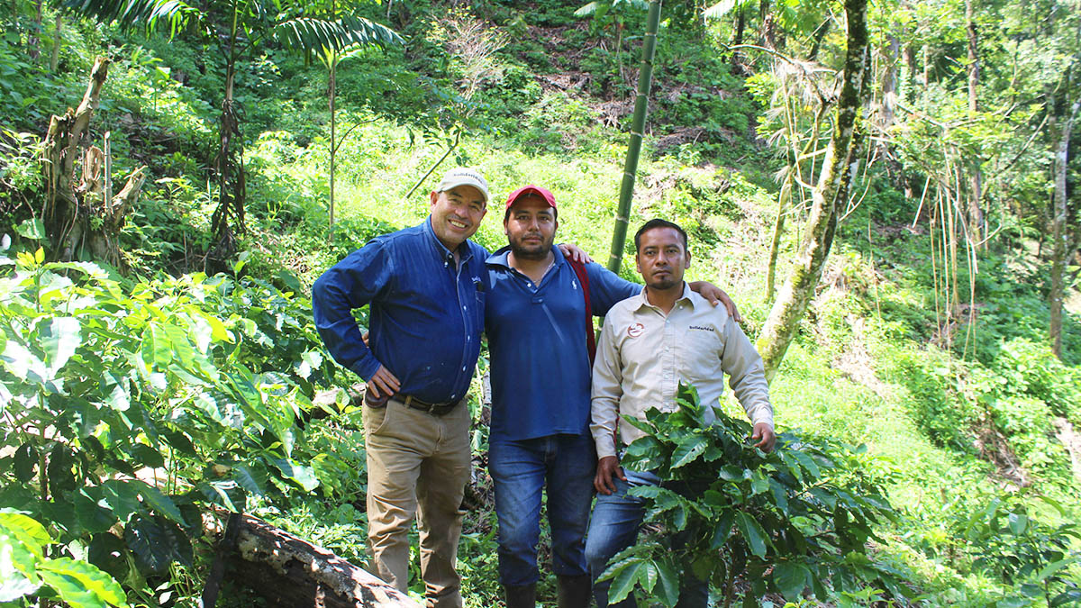 Solidaridad-Café-Javier-Anaya-Artículo de-Opinión