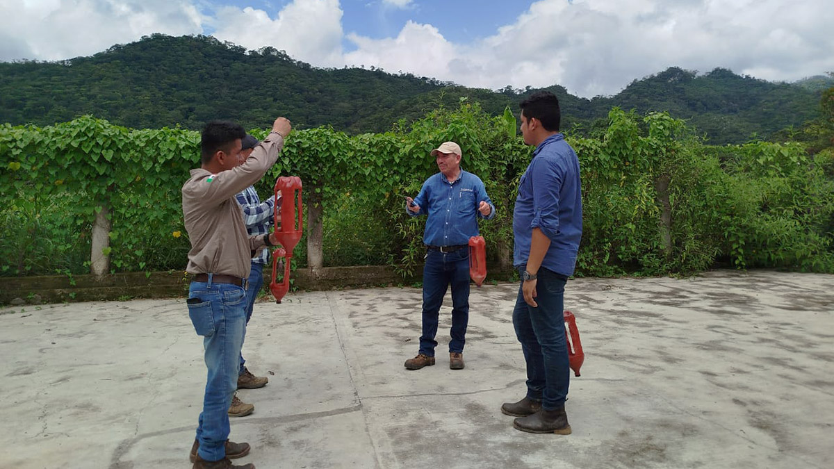 Solidaridad-México-Café-Javier-Anaya-2024-Artículo-Opinión