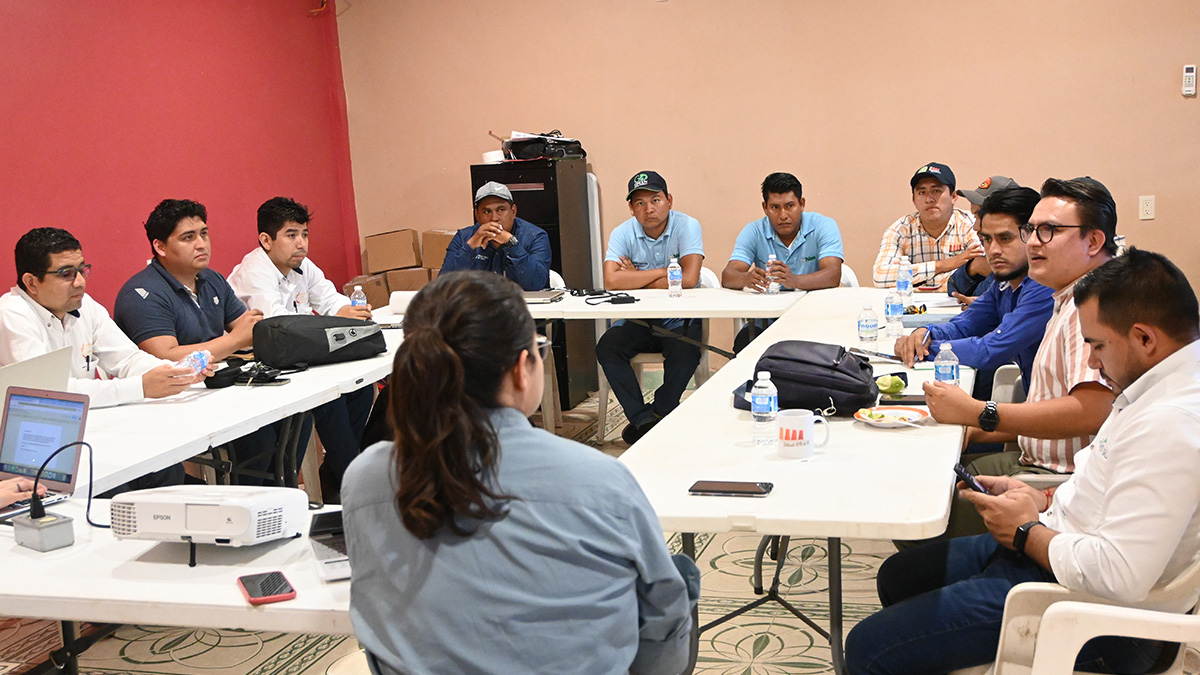 Solidaridad-México-Extension-Solution-Palma-Café