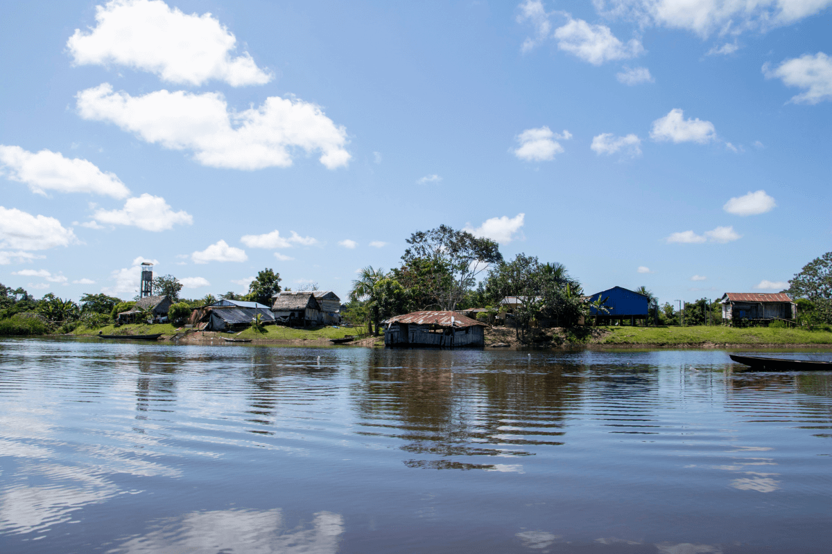 plantilla wordpress cuerpo (4)