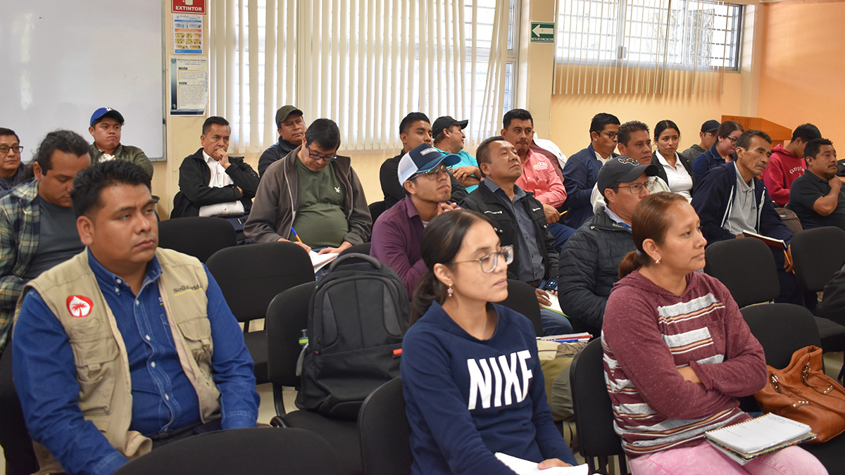 Solidaridad-México-Café-Curso-Regulación-Eurd-Productores-Prácticas-Sostenibles