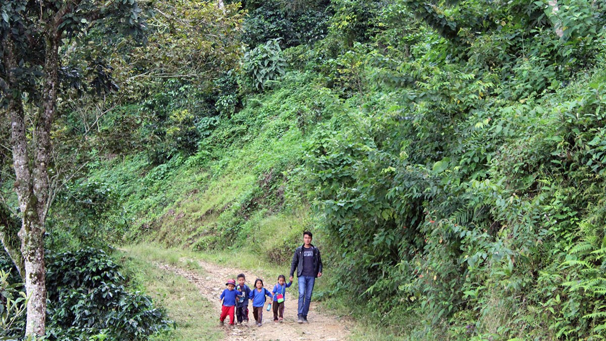 Solidaridad-Productores-Familia-Café-México-Sostenibilidad (1)