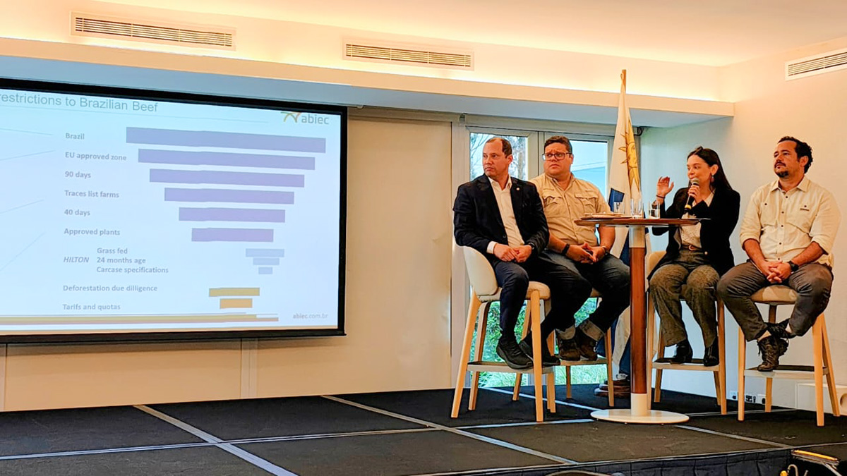 EUDR Pta del Este 03