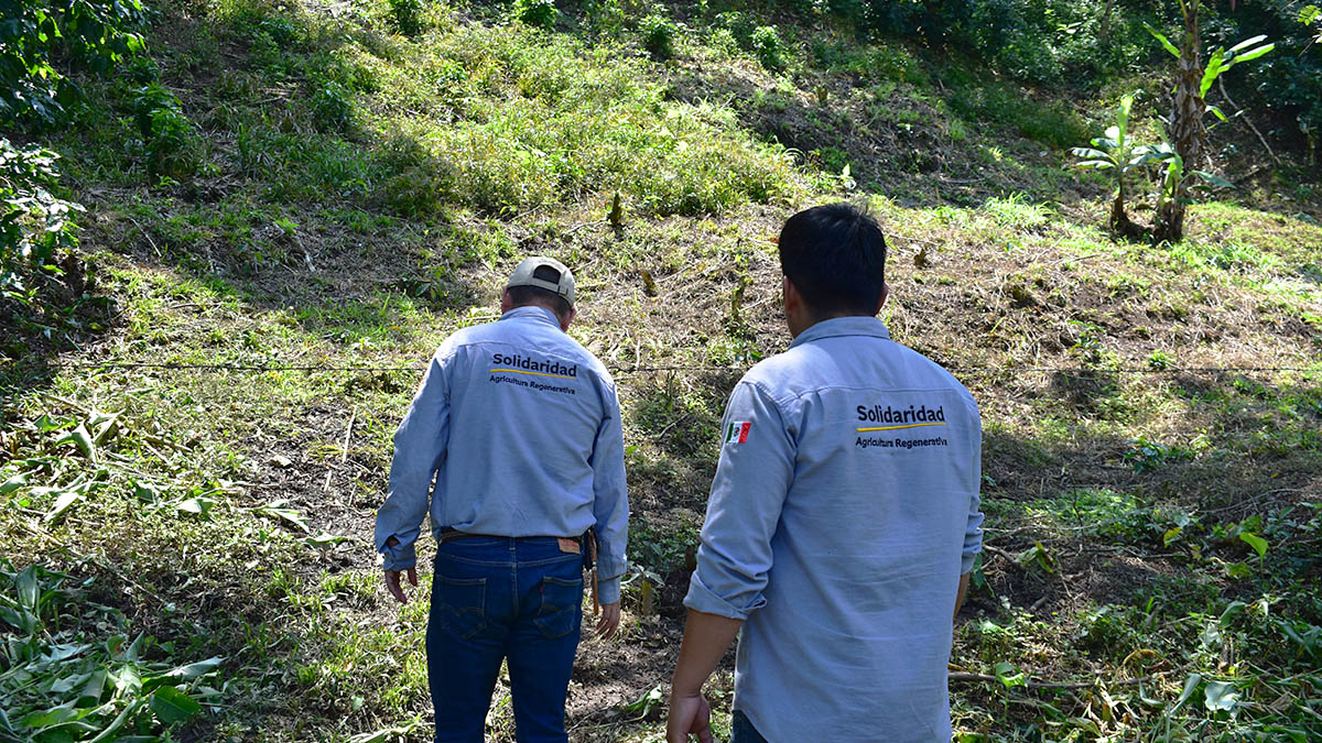 Solidaridad-Agrolearning-2024-México-Jaltenango-Chiapas-Café