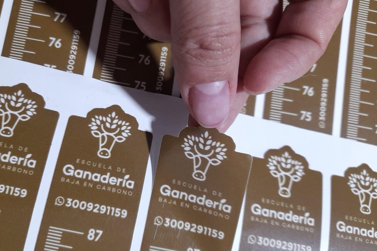 Baston de pastoreo3 Baston-de-pastoreo3