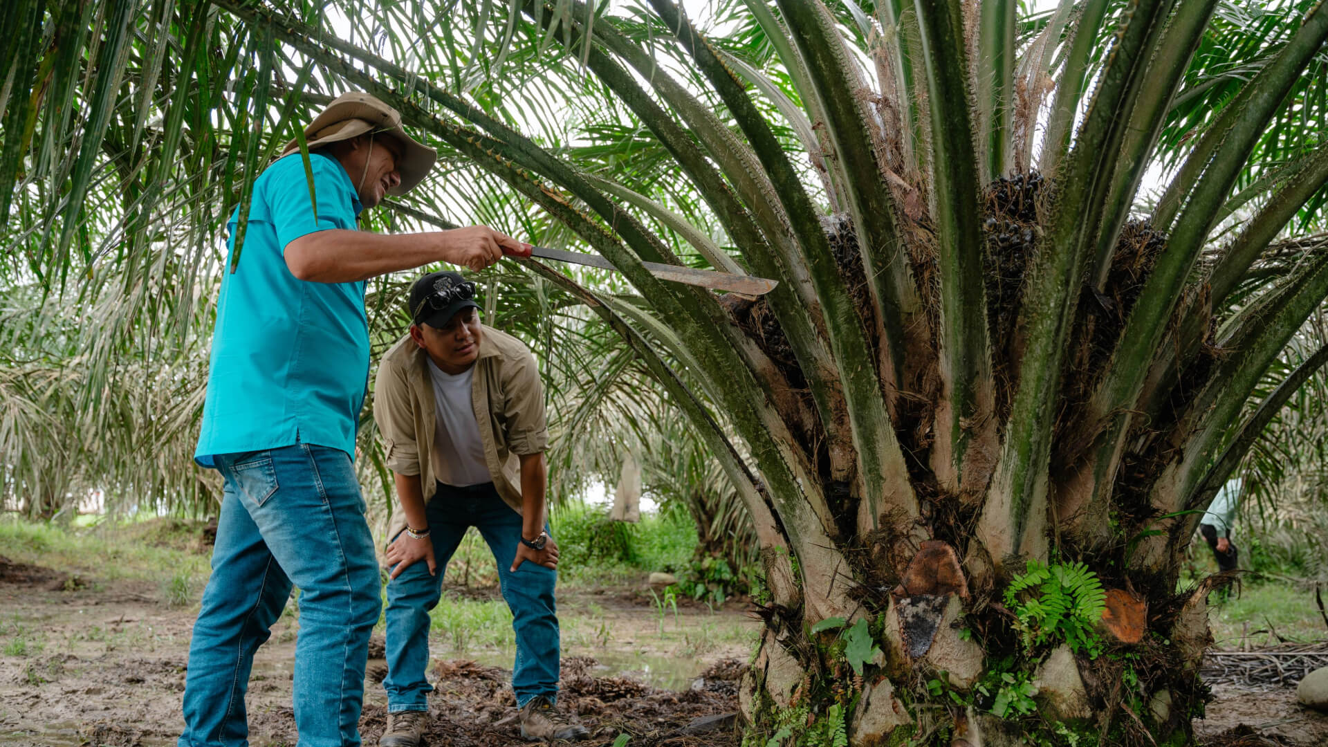 Fotos_InnovaPalma-20