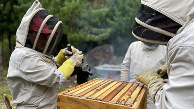 Yuri Marcela detalle