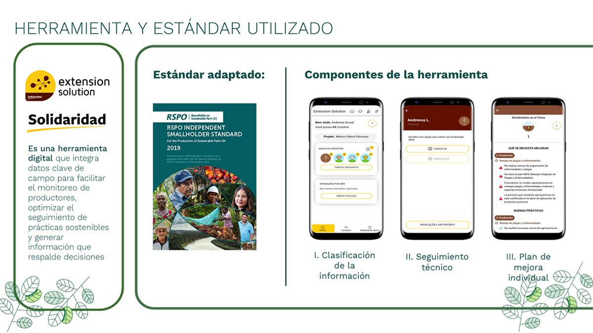 Resultados del Proyecto 2024: Conociendo al pequeño productor, el primer paso hacia la sostenibilidad Durante 2024, impulsamos el proyecto “Conociendo al pequeño productor”, una iniciativa desarrollada junto a AAK, RSPO y ANIAME así como cuatro empresas extractoras de palma de aceite en México. Con este diagnóstico, podemos conocer algunos de los siguientes datos: El productor promedio de palma en la región tiene 60 años, y solo el 29% son mujeres. Su productividad ronda las 22.15 toneladas por hectárea al año. Esta realidad nos recuerda que no es suficiente hablar de sostenibilidad sin entender las condiciones y necesidades específicas de quienes están al frente de la producción.