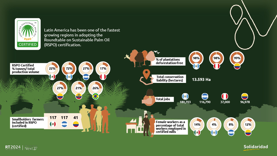 Bar&oacute;metro Palmero 2025