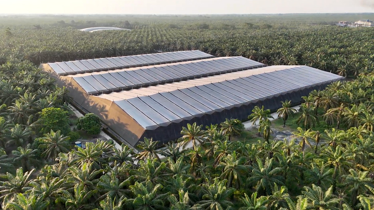 Calculadora App Ecopalma