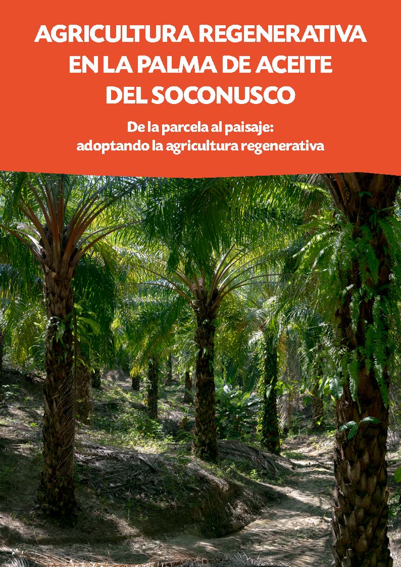 Estudio-Caso-Agricultura-Regenerativa-Palma-Aceite-Soconusco-Ghiapas-Mexico-Café-2025