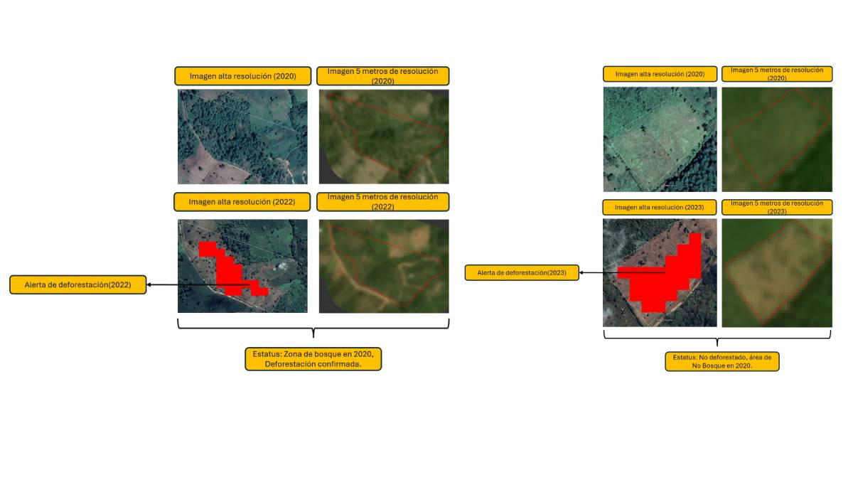 Pre - chequeo - EUDR - Centroamerica (1)