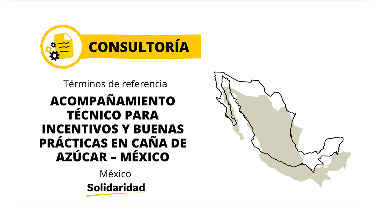 Consultoría Caña Final