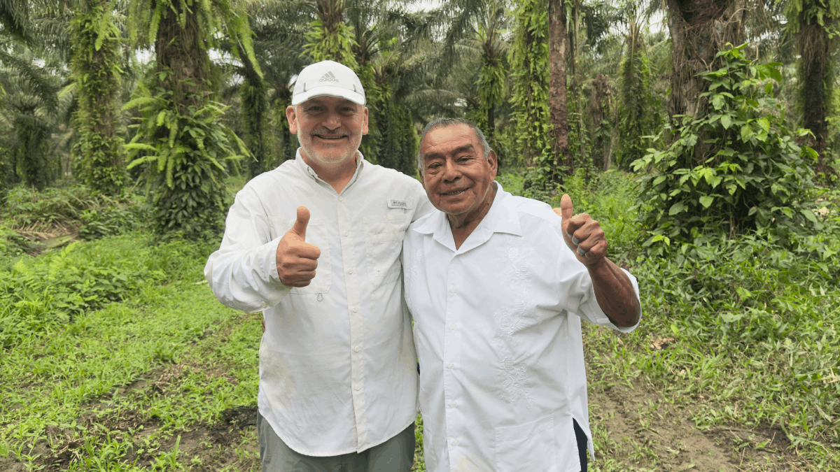 Trabajamos con todos los actores de la cadena para impulsar la innovación, la productividad y la resiliencia del sector palmero en Honduras.