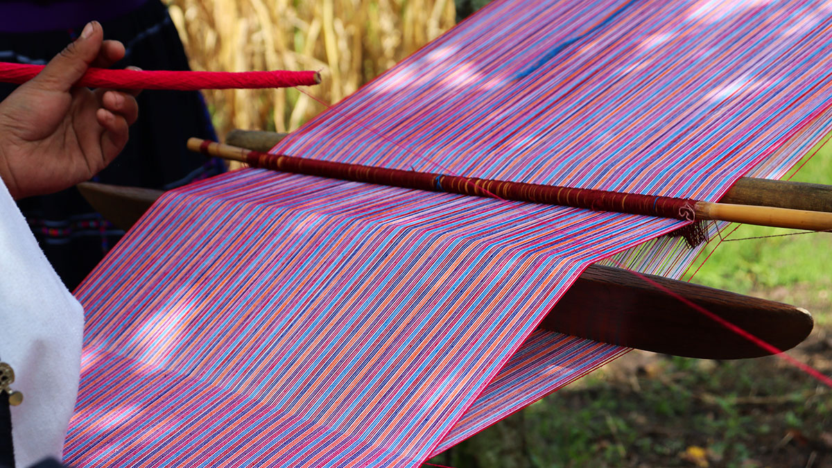 Mujeres-Bordado-Café-Chiapas-2025-Género