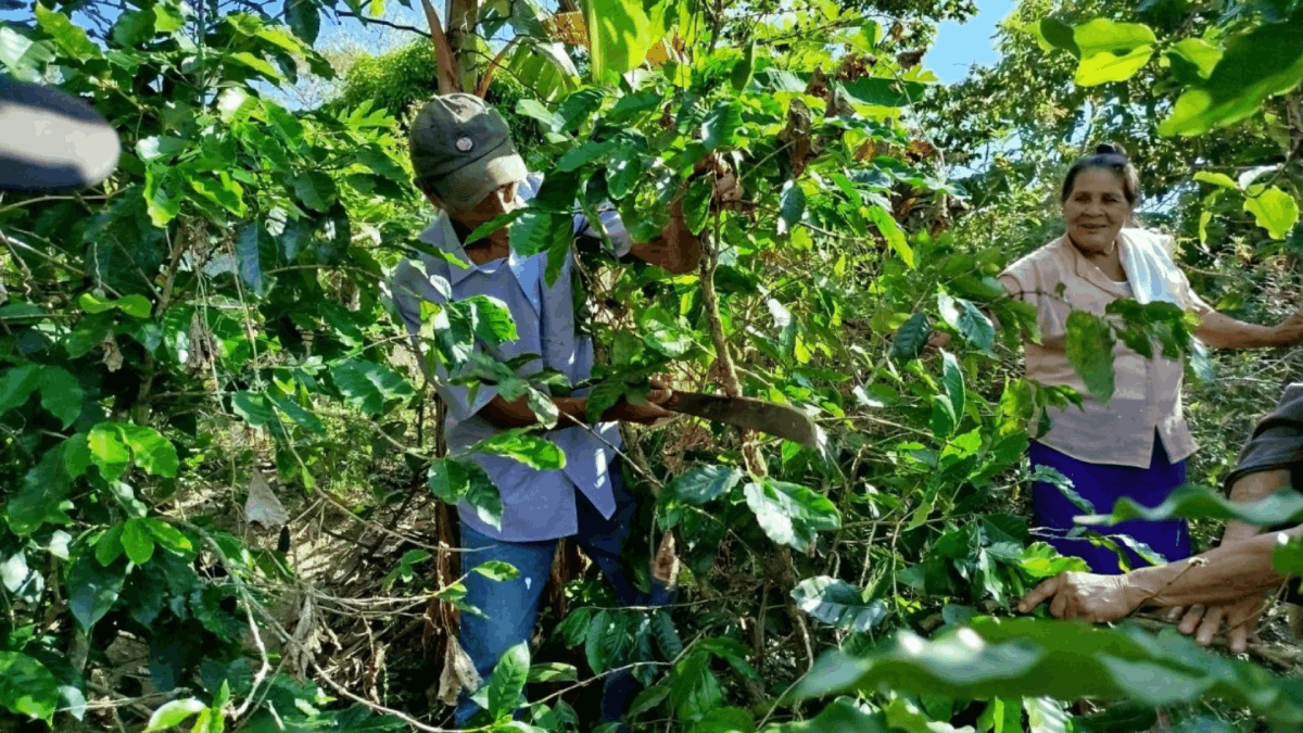 ASOMBRATE - NICARAGUA- ToT (2)