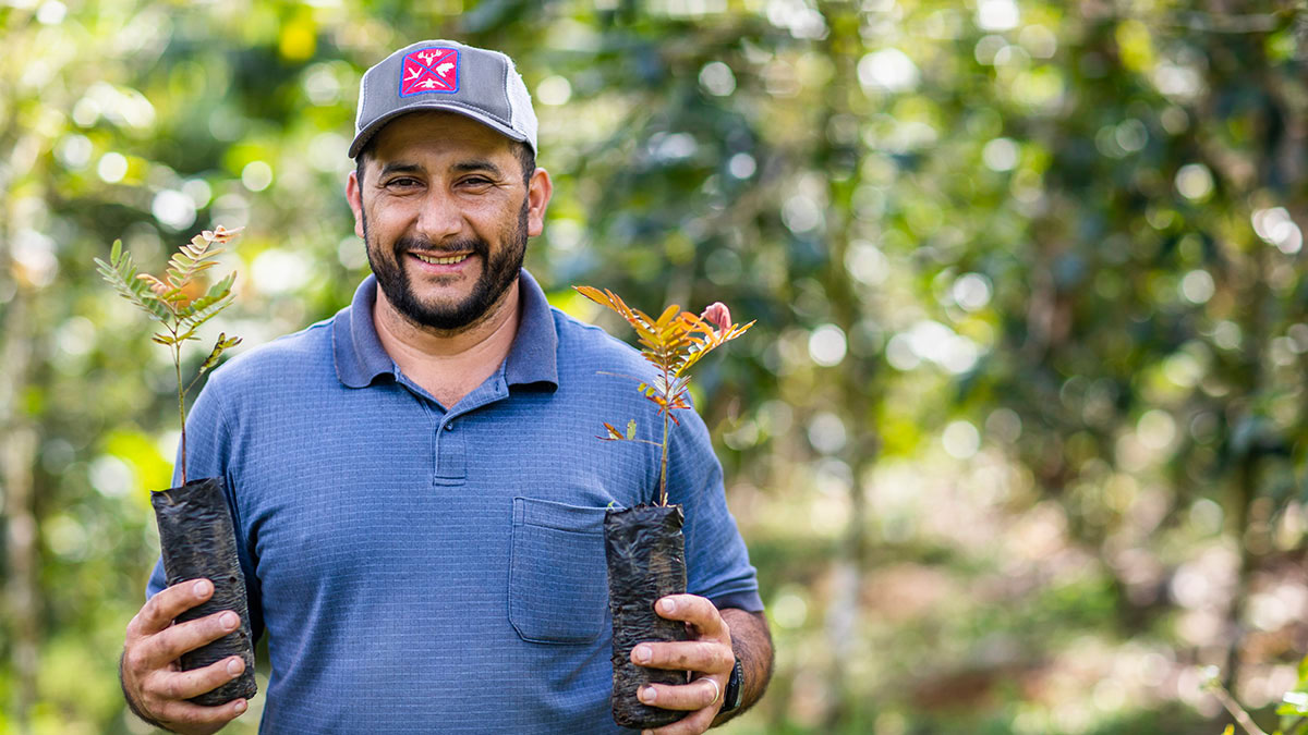 COP30---Transformación-de-los-Sistemas-Agrícolas---Héroes-del-Clima COP30 -Transformación de los Sistemas Agrícolas, Héroes del Clima